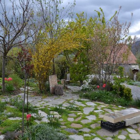 Petit Appartement En Montagne Saint-Julien-en-Champsaur 外观 照片