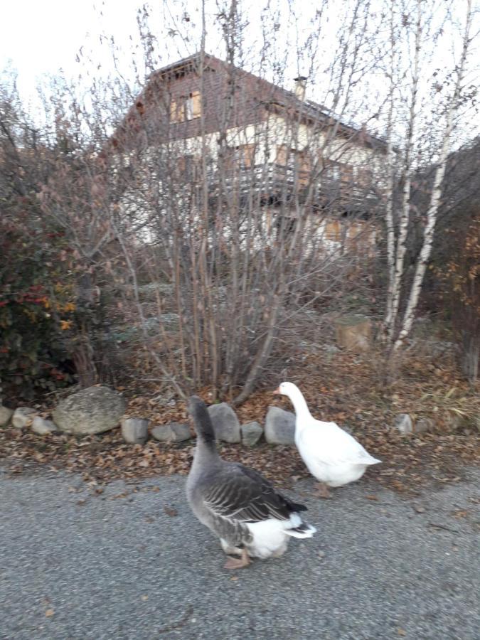 Petit Appartement En Montagne Saint-Julien-en-Champsaur 外观 照片